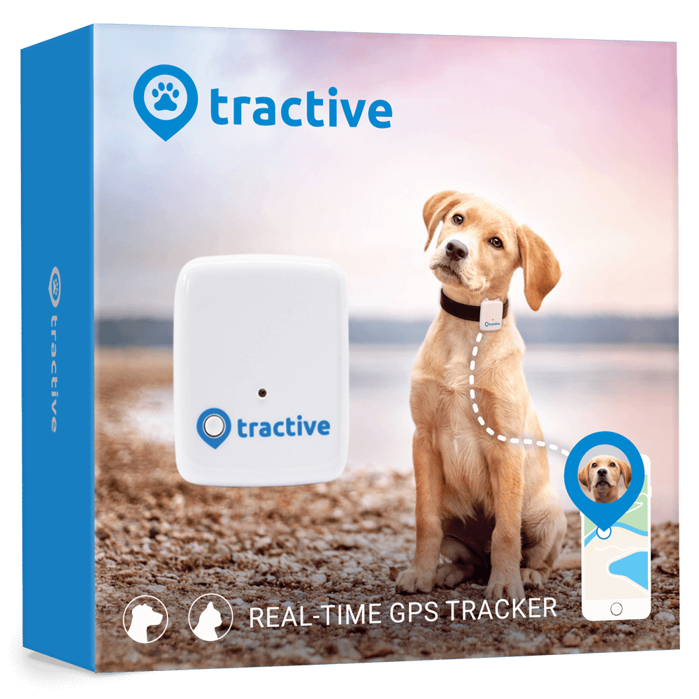 Tractive GPS Tracker Für Haustiere - Hund XL Ab € 77,11 Im Onlineshop ...