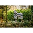 Produkt Thumbnail Horseware Amigo CamoFly Fliegendecke