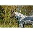 Produkt Thumbnail Horseware Amigo 3-in-1 CamoFly Fliegendecke