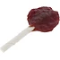 Produkt Thumbnail KERBL Rinderhaut Lollipop mit Ente