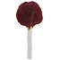 Produkt Thumbnail KERBL Rinderhaut Lollipop mit Ente