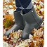 Produkt Thumbnail Bootie Rainless schwarz Gr. 40