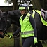 Produkt Thumbnail Shires EQUI-FLECTOR® Sicherheitsweste