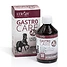 Produkt Thumbnail STRÖH Gastro Care 300ml