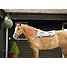 Produkt Thumbnail Equilibrium Massagepad Pony