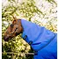 Produkt Thumbnail Horseware Amigo Hero Ripstop Hood Halsteil 0g