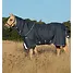 Produkt Thumbnail Horseware Amigo Bravo 12 Plus Turnout 0g Lite 