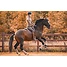 Produkt Thumbnail LaBona Reitpad DRESSAGE II