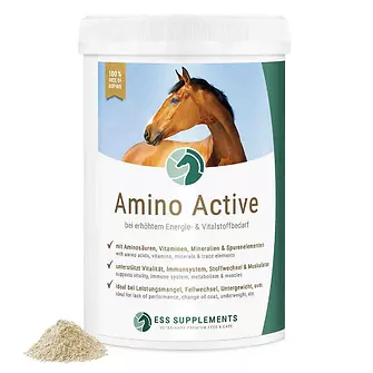 Produkt Bild ESS Amino Active 1000 g 1