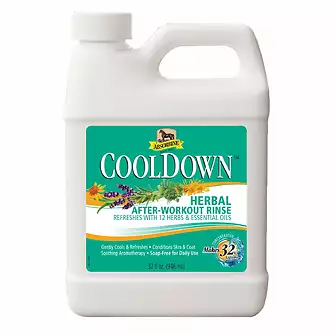 Produkt Bild Absorbine Cool Down Waschlotion 946ml 1