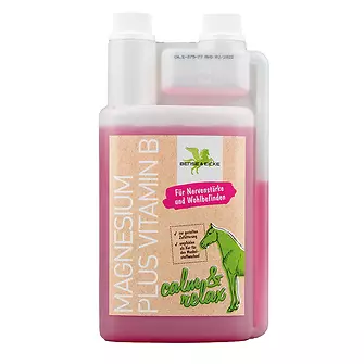 Produkt Bild Bense & Eicke Magnesium plus Vitamin B 1L 1