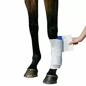 Produkt Bild Stübben Kryo Kompakt Horse Elastische Bandage 1