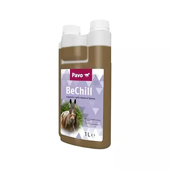 Produkt Bild Pavo BeChill 1L 1