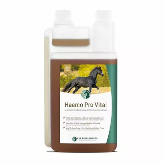 Produkt Bild ESS Haemo Pro Vital 1L 1