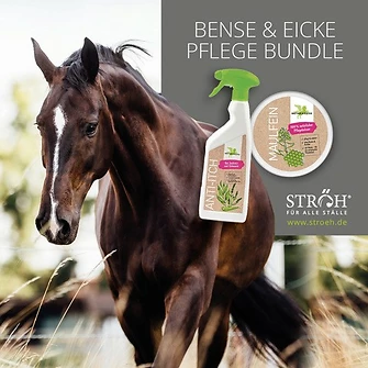 Produkt Bild Bense & Eicke Pflegebundle 1