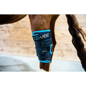 Produkt Bild Horseware Ice-Vibe Therapiegamaschen 'Hock Wrap' 1