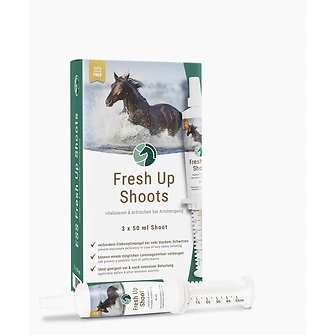 Produkt Bild ESS Fresh Up Shoots 3x50ml 1