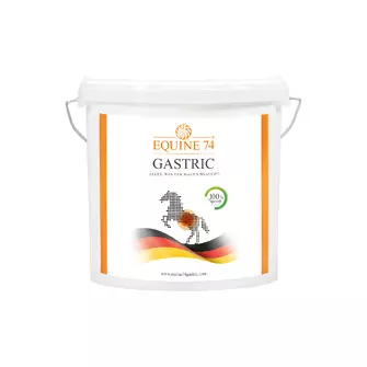 Produkt Bild EQUINE 74 Pulver 6kg (4 Monate Ration) 1