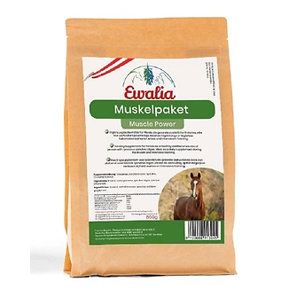 Produkt Bild Ewalia Muskelpaket 0,8 kg 1