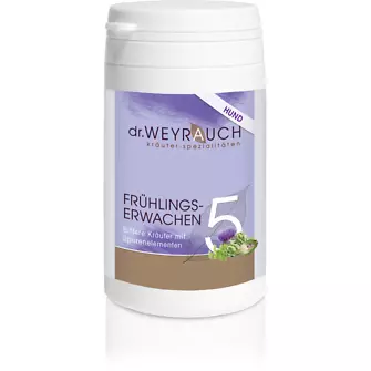 Dr. Weyrauch Nr. 5 Frühlingserwachen - 60 St. Hund