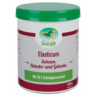 Galopp Elasticum 1 kg