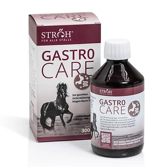 STRÖH Gastro Care 300ml