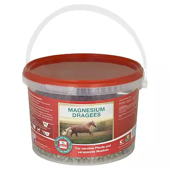 Produkt Bild Salvana Magnesium Dragees 3kg 1