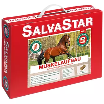 Produkt Bild Salvana SALVASTAR 5 kg Muskelaufbau 1