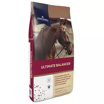 DODSON & HORRELL Ultimate Balancer 20 kg