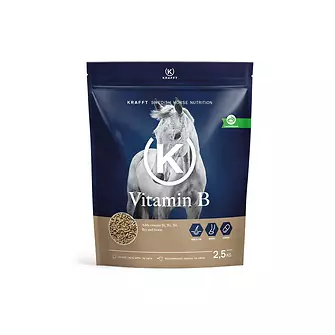 Produkt Bild KRAFFT Vitamin B 2,5 kg 1