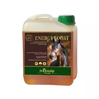 Produkt Bild St.Hippolyt WES Energy Boost 5L 1