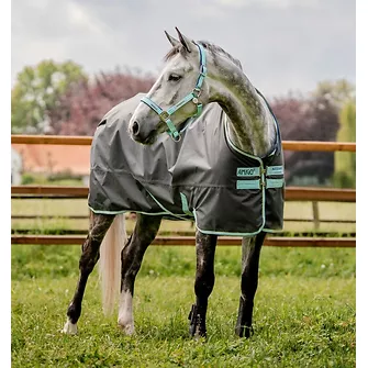 Produkt Bild Horseware Amigo Hero Ripstop Turnout 50g 1