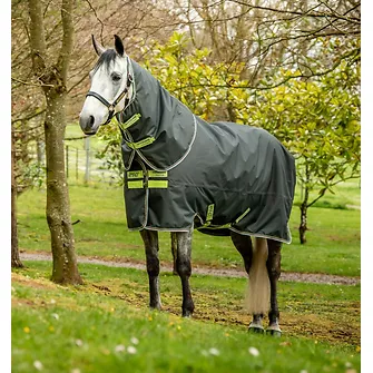 Produkt Bild Horseware Amigo Hero Ripstop Plus Turnout 100g 1