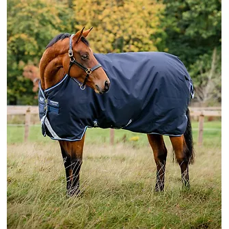 Produkt Bild Horseware Amigo Bravo 12 Original Turnout 250g Medium 1