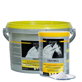 Produkt Bild EQUISTRO Triforce 1800 g 1