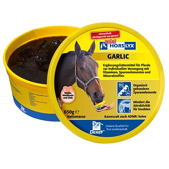 Produkt Bild DERBY Horslyx Garlic Leckstein 650g 1