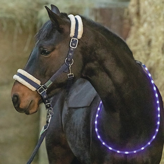 Produkt Bild USG LED Leuchthalsring für Pferde 1