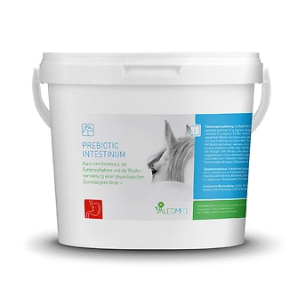 Produkt Bild Valetumed Prebiotic Intestinum 2,5kg 1