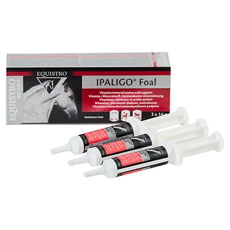 Produkt Bild EQUISTRO IPALIGO Foal 3 x 14 g 1