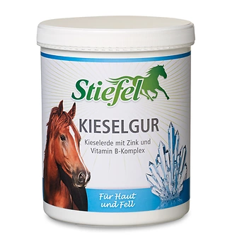 Produkt Bild STIEFEL Kieselgur 1kg 1