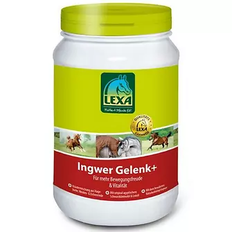 Lexa Ingwer Gelenk + 1 kg