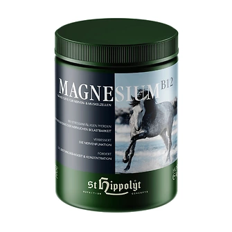 St.Hippolyt MAGNESIUM B12 1kg