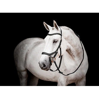 Produkt Bild Horseware Micklem® 2 Competition Bridle 1