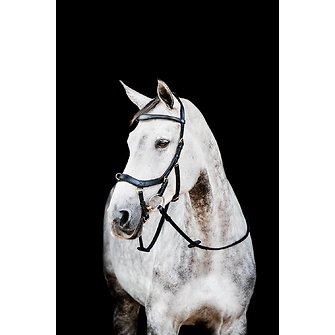 Produkt Bild Horseware Micklem® 2 Multi Bridle 1