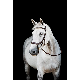 Produkt Bild Horseware Micklem® 2 Multi Bridle 1