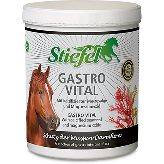 Produkt Bild Stiefel Gastro Vital 1kg 1