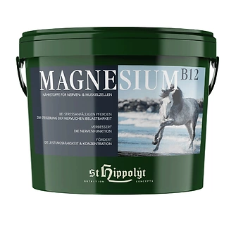 Produkt Bild St.Hippolyt MAGNESIUM B12 10kg 1