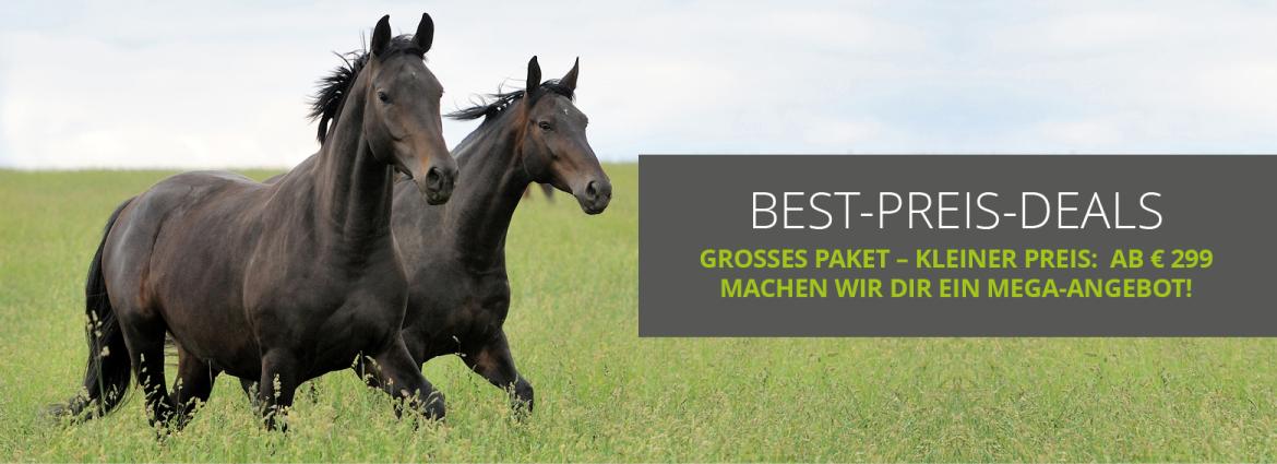 Best Price Deal - Das Beste zum besten Preis!