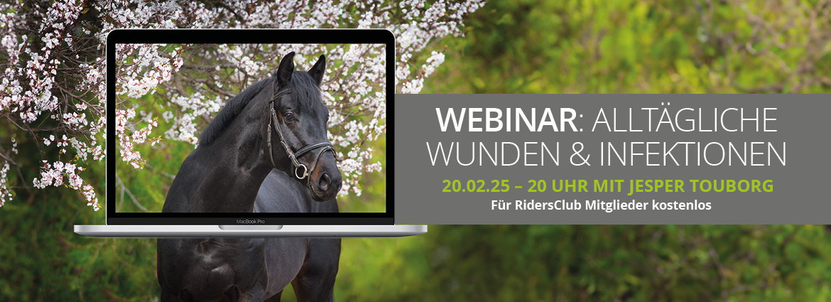 Webinar 20.02. Innovative Lösung für effektive Wundversorgung